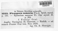 Stemphylium vesicarium image
